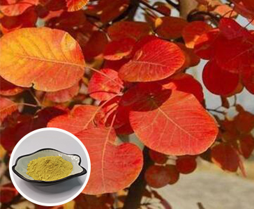 【新品上市】西安Agin games生物新品官宣—漆黄素重磅上市！